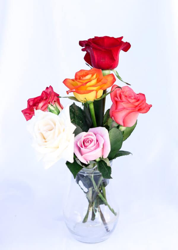 Rosas combinadas (ramo de 6) - Imagen 3