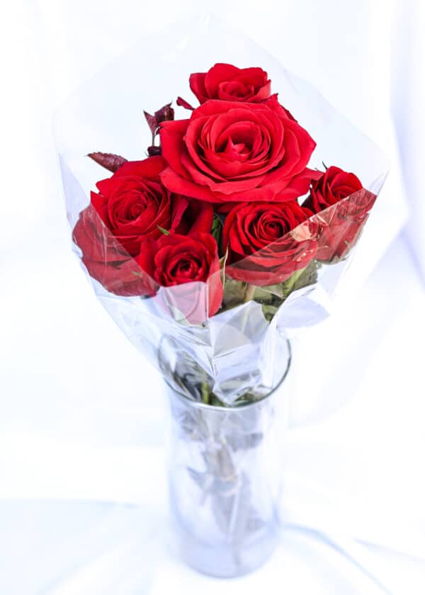 Rosas Rojas (Ramo de 6)